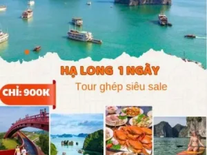 HÀ NỘI – VỊNH HẠ LONG 900.000 VND/KHÁCH