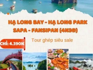 HẠ LONG BAY – HẠ LONG PARK – SAPA – FANSIPAN (4N3Đ) 4.390.000