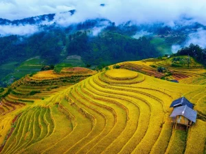Hà Nội - Mù Cang Chải