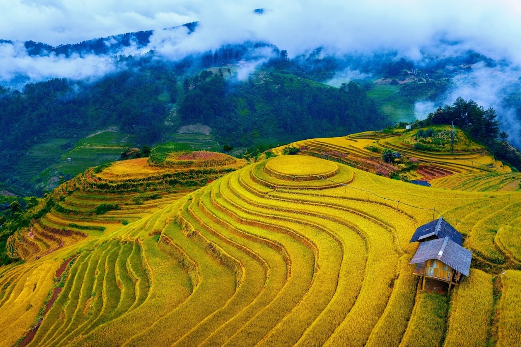 Hà Nội - Mù Cang Chải